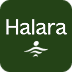 thehalara.com.mx favicon