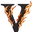 vigyl.ca favicon